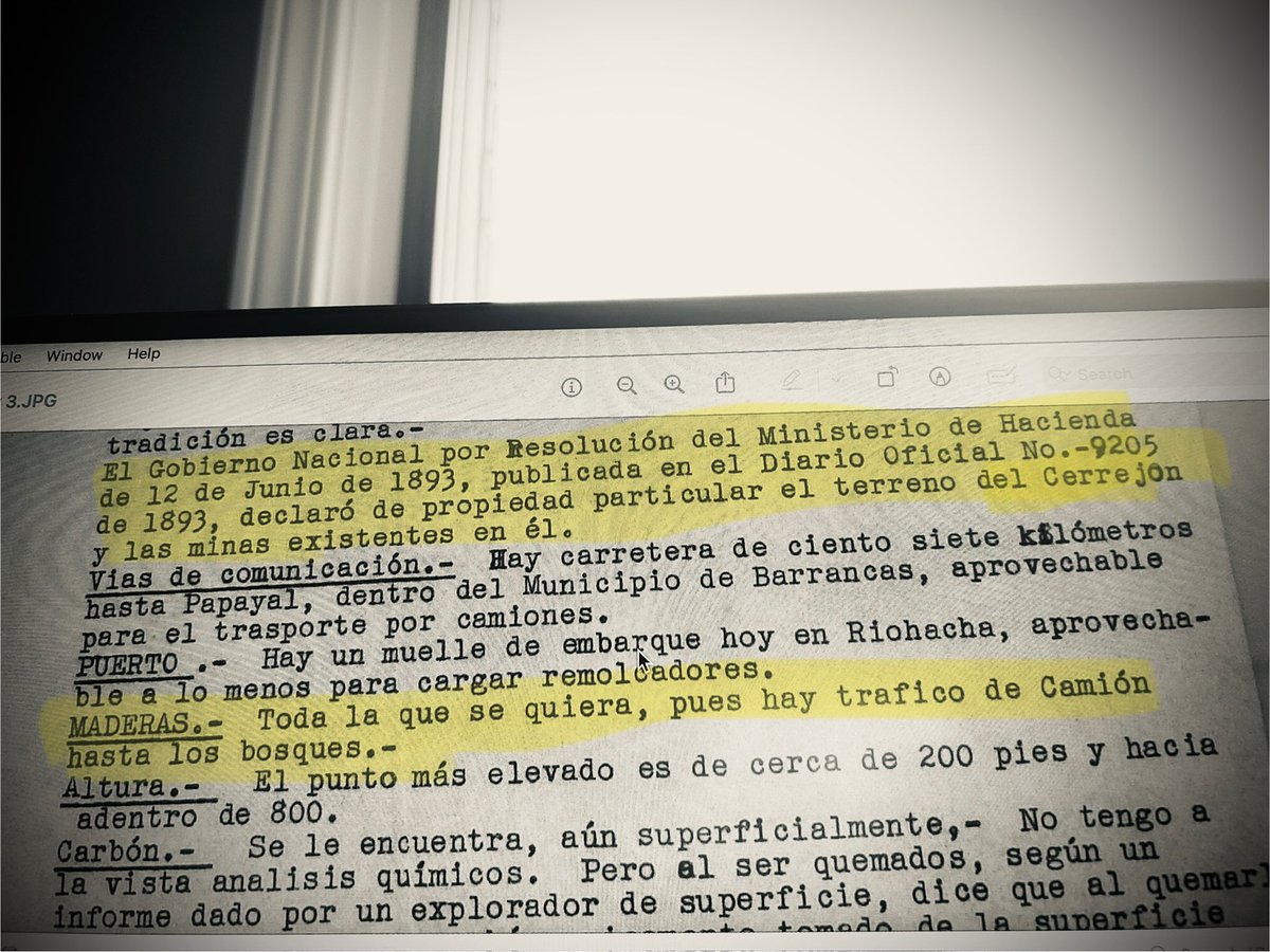 Lina Britto tweet media