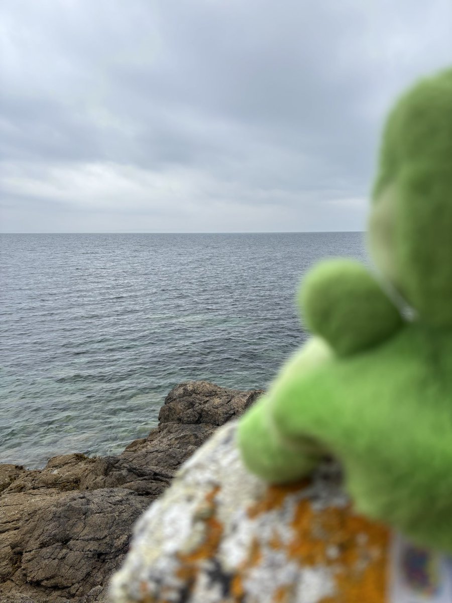 ⋆KC Lako⋆ #CLOVE // 🎀 tweet media