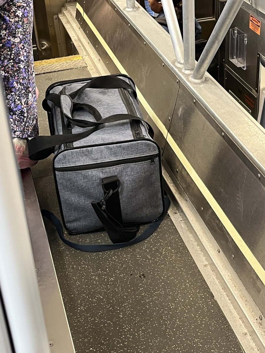 Mari_Fec's tweet photo. @OnTheMehtra After years of wishing for #thepets to ride #Metra, there's a dog the train! https://t.co/JfroTuPySz