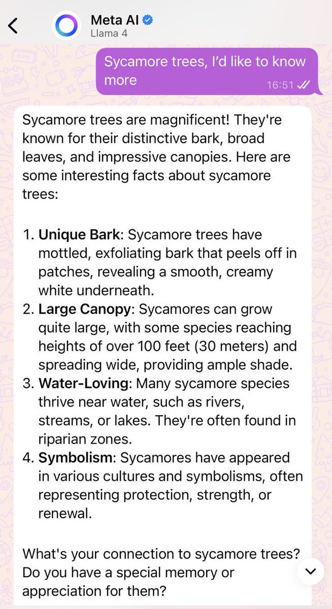 Prof Alice Roberts💙 tweet media