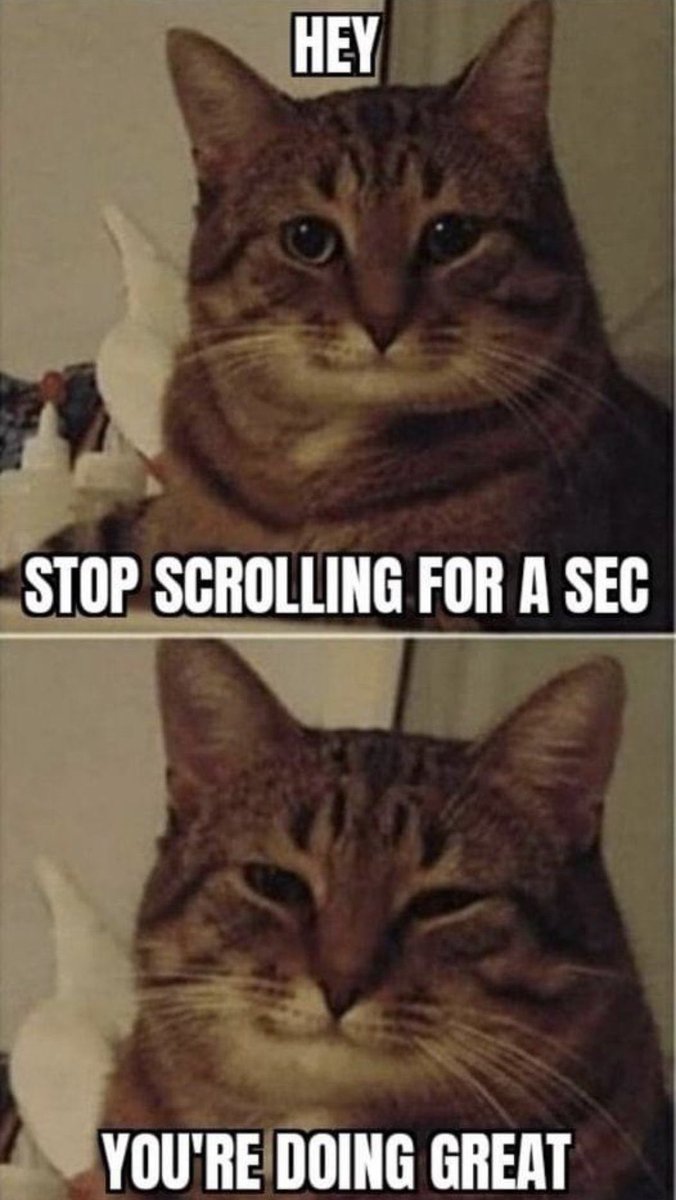 Kieran 🥃🎶🐇 tweet media