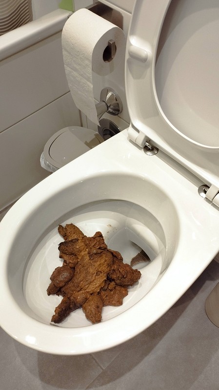 dirtyscat_boy tweet media