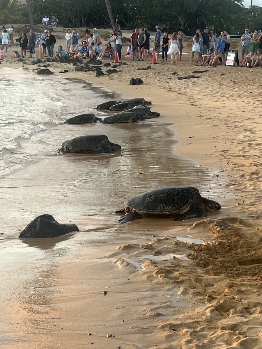 RogueAtlantis tweet media