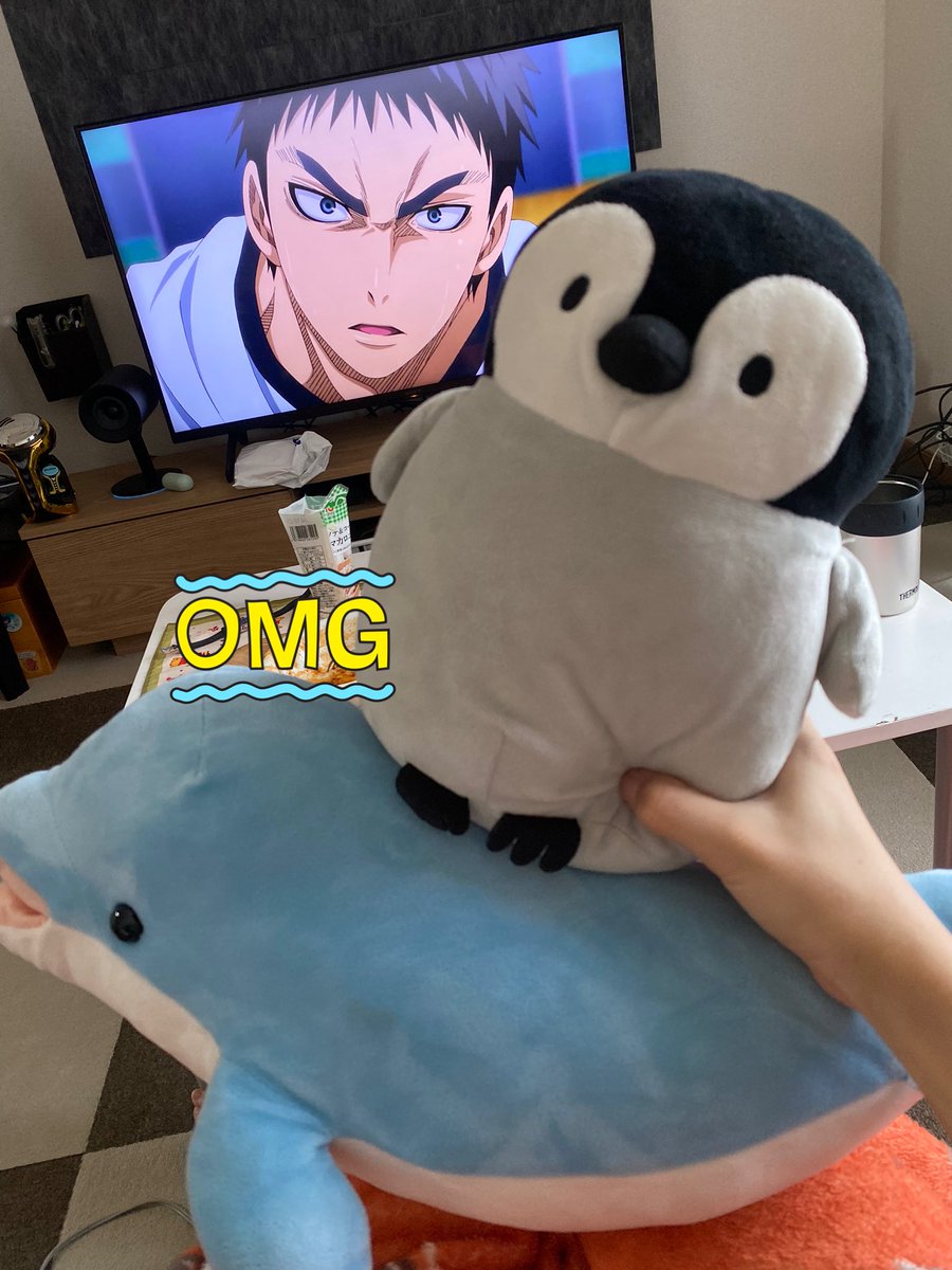 ペンちゃんとお昼ご飯後の戯れ🤝

黒バスを添えて。