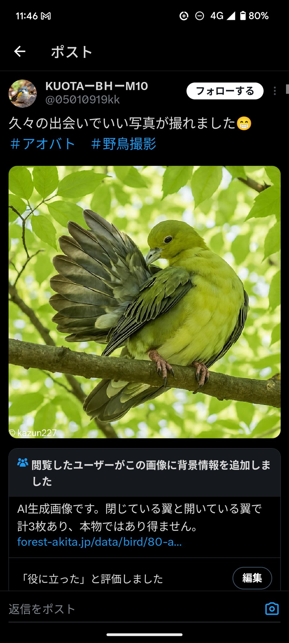 樹上落鳥 テヅクリ🥕 on X: 
