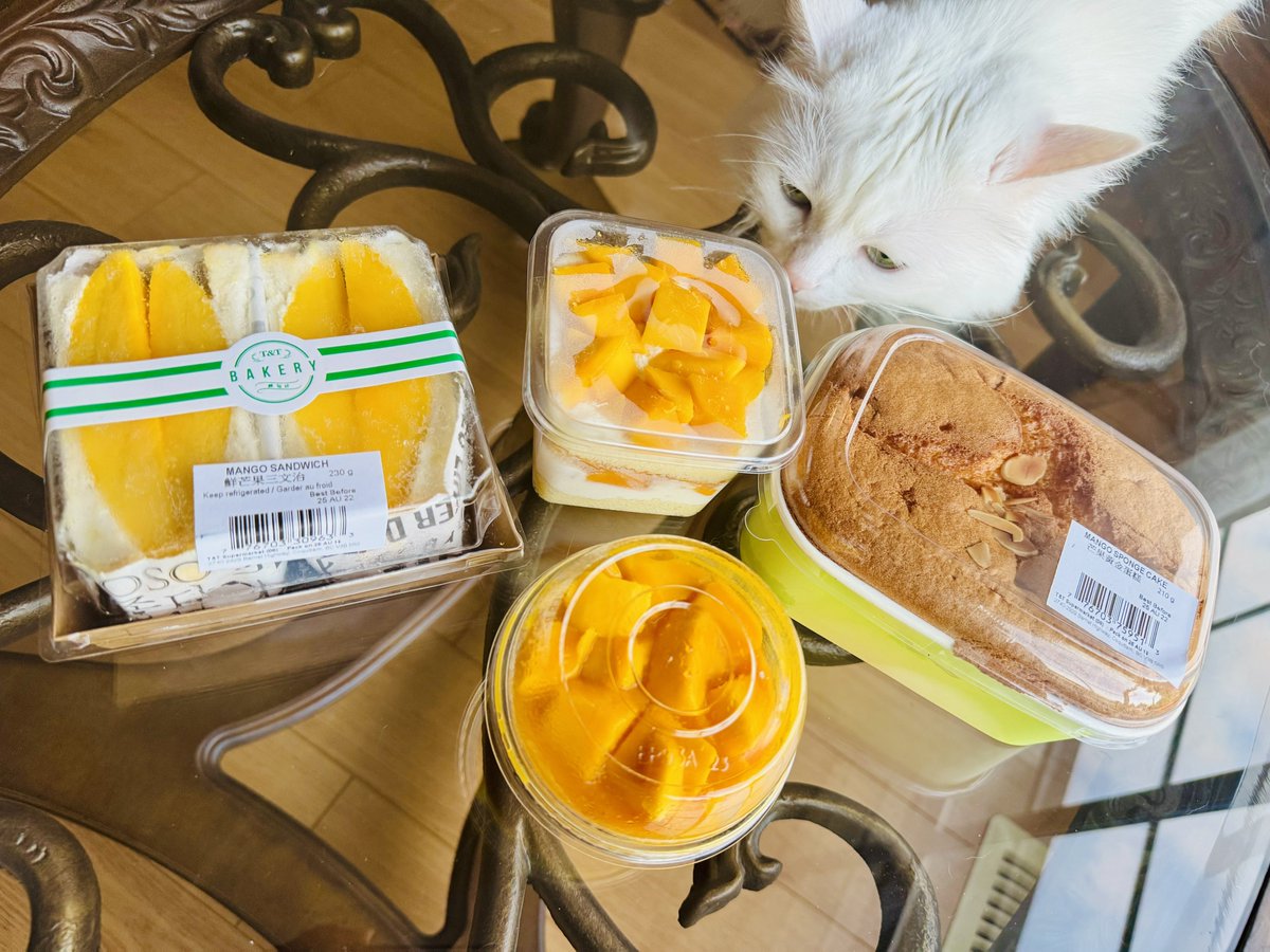 Ye dil mange more 
More mango more
… mango pudding, 
…mango parfait,
…mango sandwich 
… mango sponge cake
And mango shake
#Mango