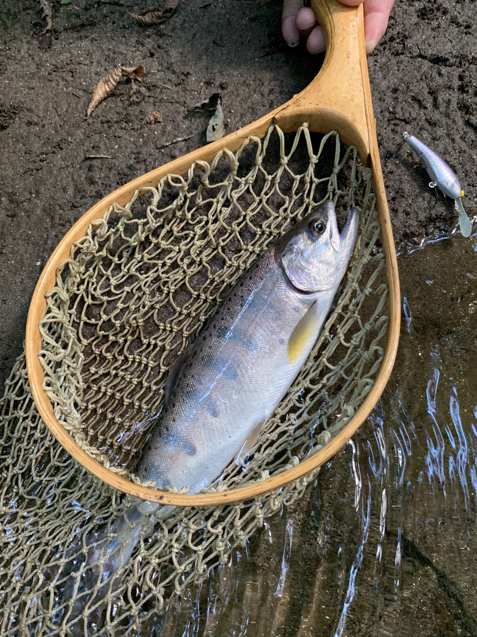 ジャンピングトマトルアーズ セット Jumping Tomato Lures