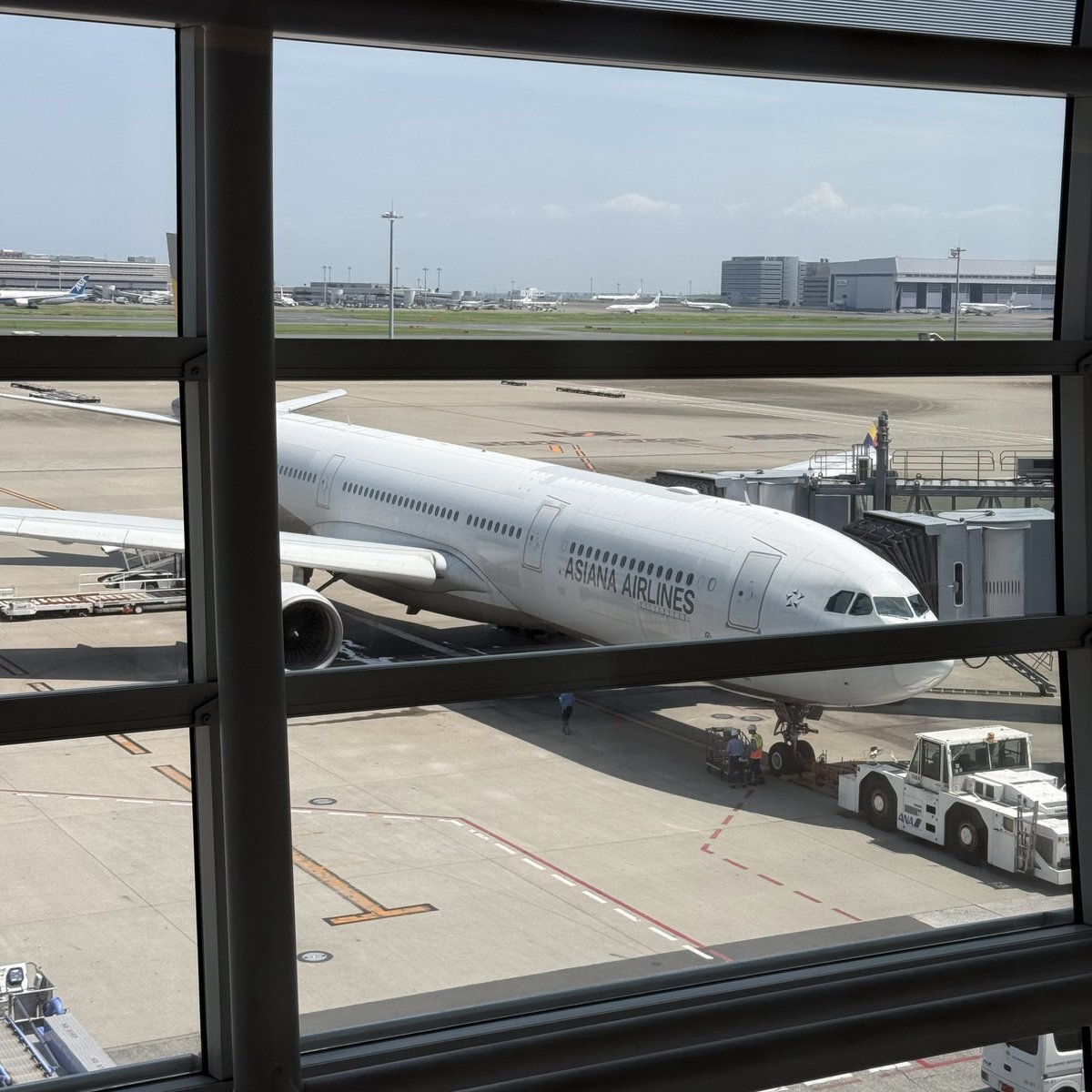 JUNGO (@mainote_jungo) on Twitter photo 今年11回目のフライトです✈️
いってきます💨 今年11回目のフライトです✈️
いってきます💨