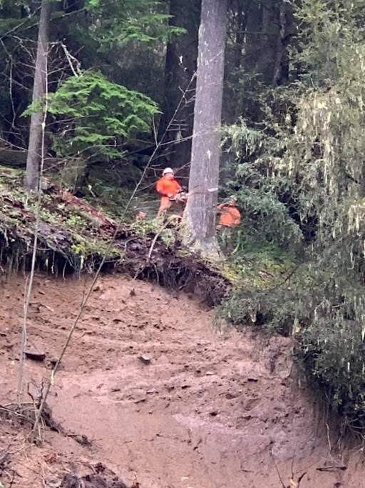 DavisSonsTree's tweet image. Healthy trees, happy landscapes! Our extensive tree services include care for every season. Contact us to discuss your property’s needs today! #TreeServices
davisandsonstreeservice.com/contact