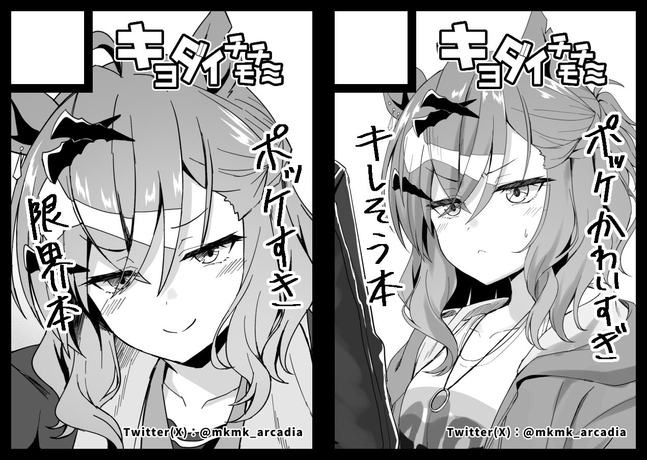 りょちゃぷ🐅 (@mkmk_arcadia) / X