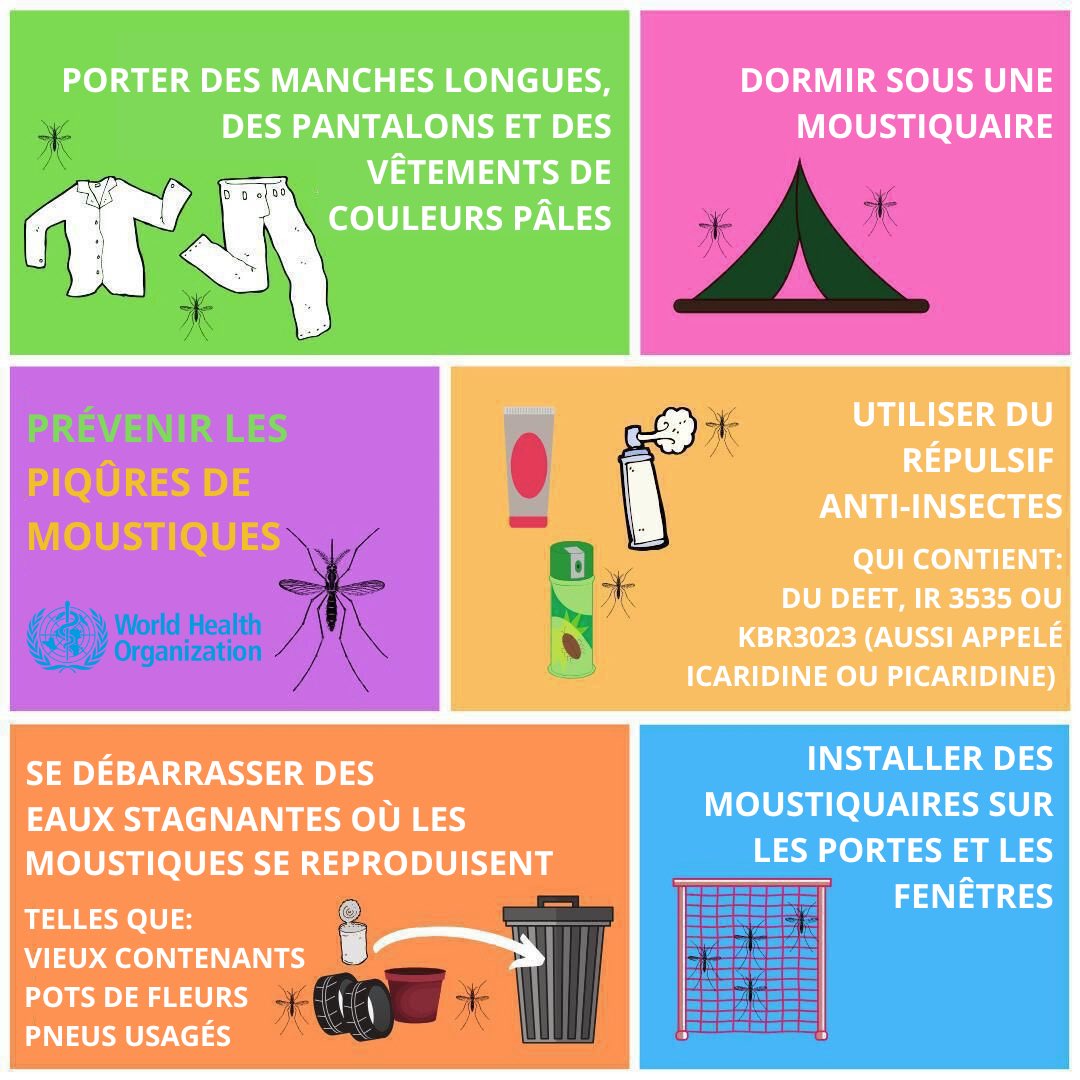 Nations Unies (ONU) (@onu_fr) on Twitter photo Les moustiques peuvent transmettre la malaria, la dengue, le virus Zika et d'autres maladies graves.
À l'occasion de la Journée mondiale des #moustiques, <a href="/WHO/">World Health Organization (WHO)</a> partage des informations sur les maladies à transmission vectorielle : who.int/fr/news-room/f… Les moustiques peuvent transmettre la malaria, la dengue, le virus Zika et d'autres maladies graves.
À l'occasion de la Journée mondiale des #moustiques, <a href="/WHO/">World Health Organization (WHO)</a> partage des informations sur les maladies à transmission vectorielle : who.int/fr/news-room/f…