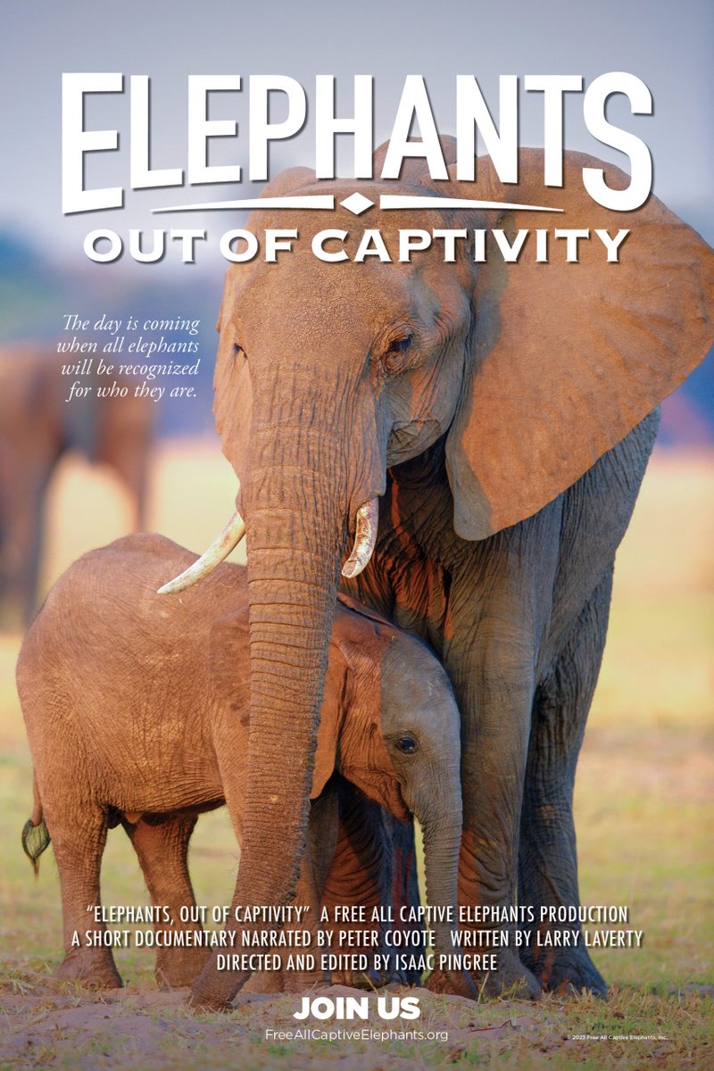 <a href="/AnimalJustice/">Animal Justice</a> Free Lucy now!