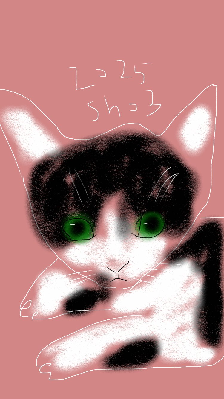 sho3 (@sho31942) / X