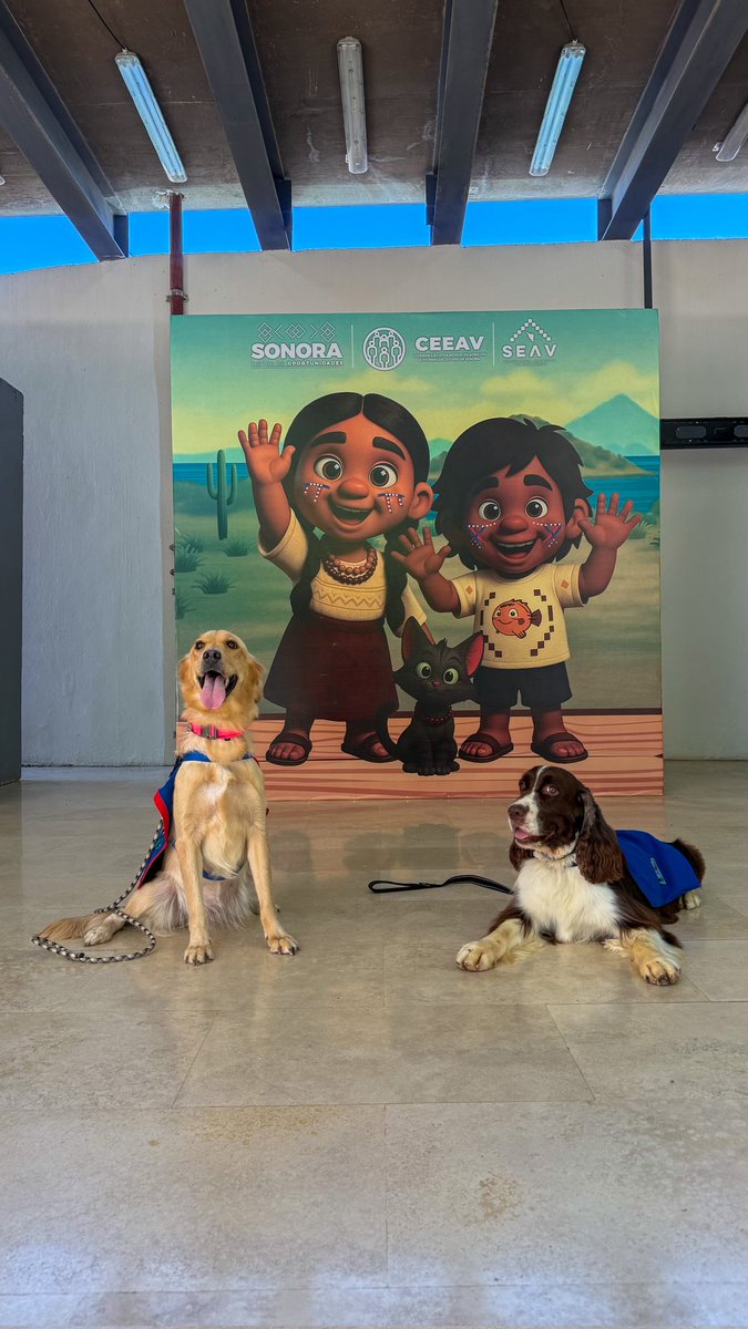 CEEAV SONORA (@ceeavsonora) on Twitter photo La violencia sexual infantil existe y no puede seguir siendo silenciada.
En Sonora, atendiendo las instrucciones de nuestro Gobernador <a href="/AlfonsoDurazo/">Alfonso Durazo</a> damos un paso firme con la Campaña Estatal de Prevención, que a través de cortos animados y un tutorial para madres, padres y La violencia sexual infantil existe y no puede seguir siendo silenciada.
En Sonora, atendiendo las instrucciones de nuestro Gobernador <a href="/AlfonsoDurazo/">Alfonso Durazo</a> damos un paso firme con la Campaña Estatal de Prevención, que a través de cortos animados y un tutorial para madres, padres y