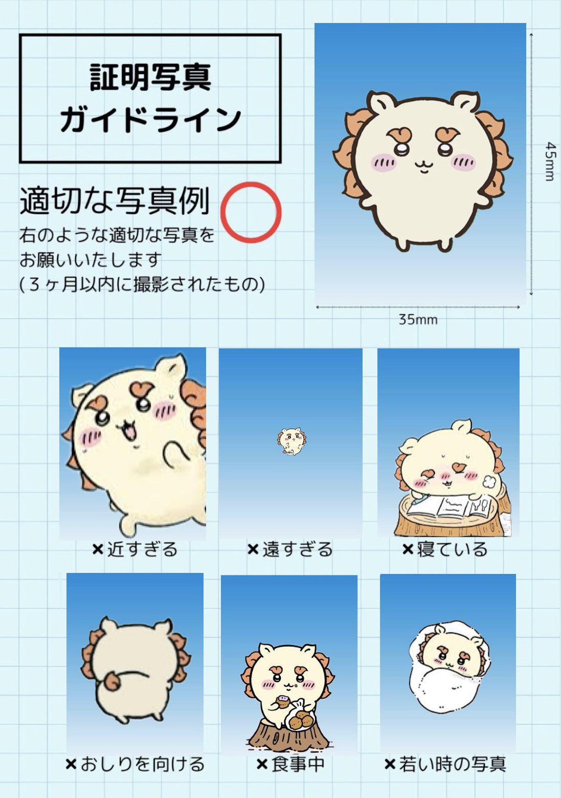 zocx 証明写真 証明写真ガイドライン - البحث / X
