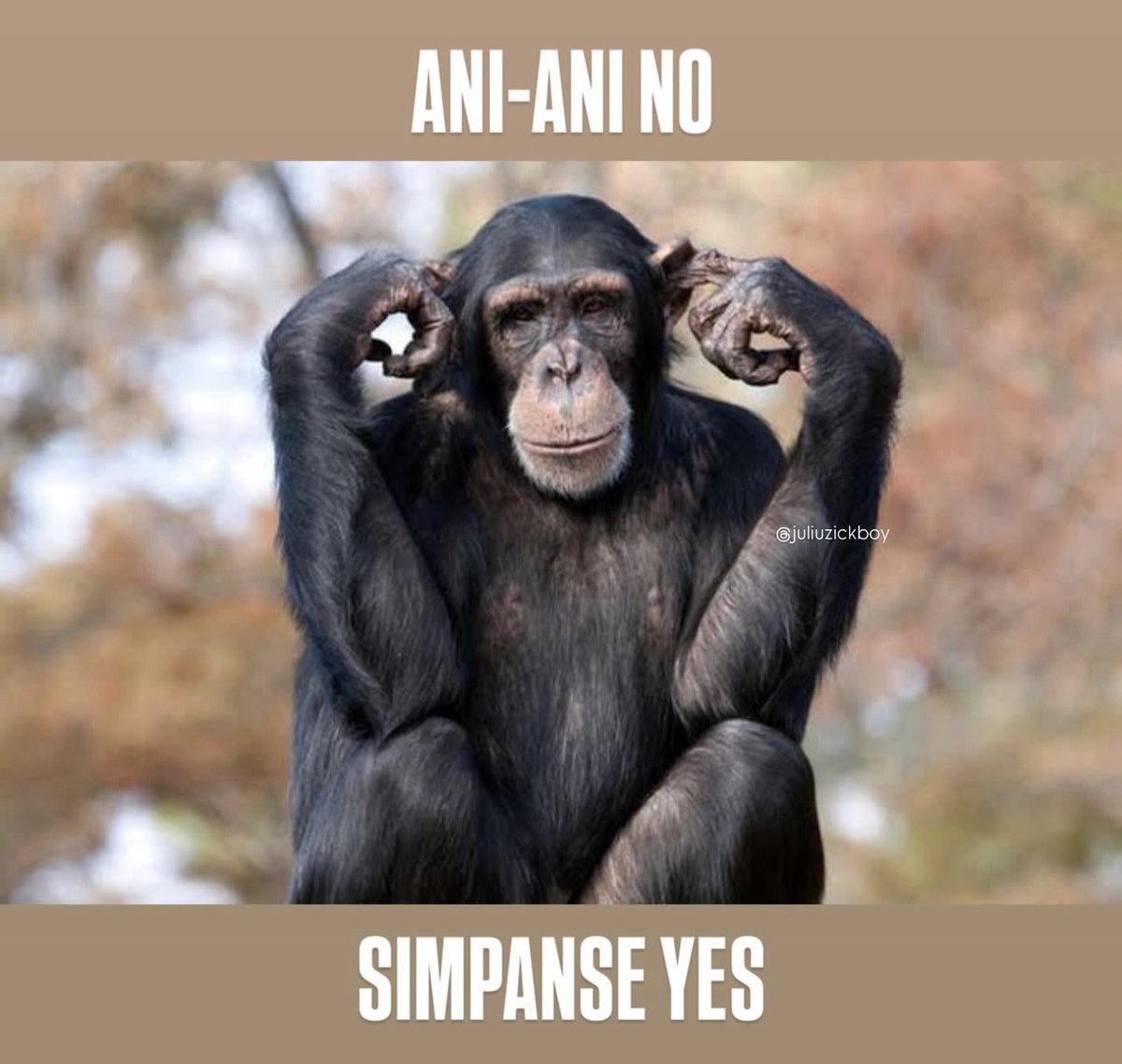 Yulius Iskandar ™ (@juliuzickboy) on Twitter photo 