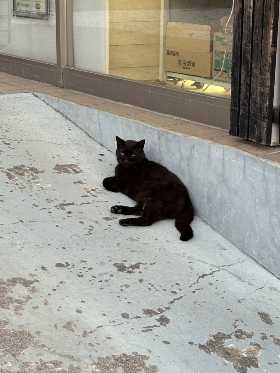 あとゲーミング湯畑は印象的でした
案外派手すぎない😛