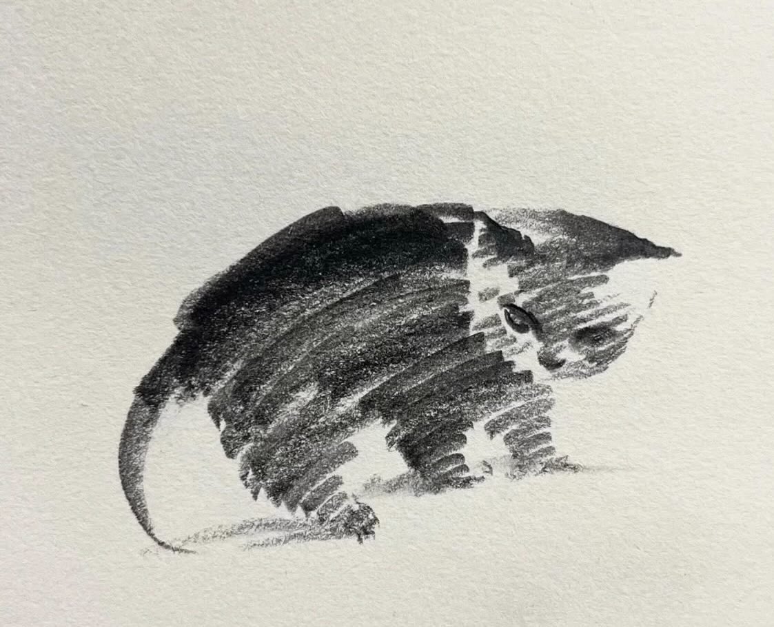 Black cats are not bad luck (@visualscat) on Twitter photo 