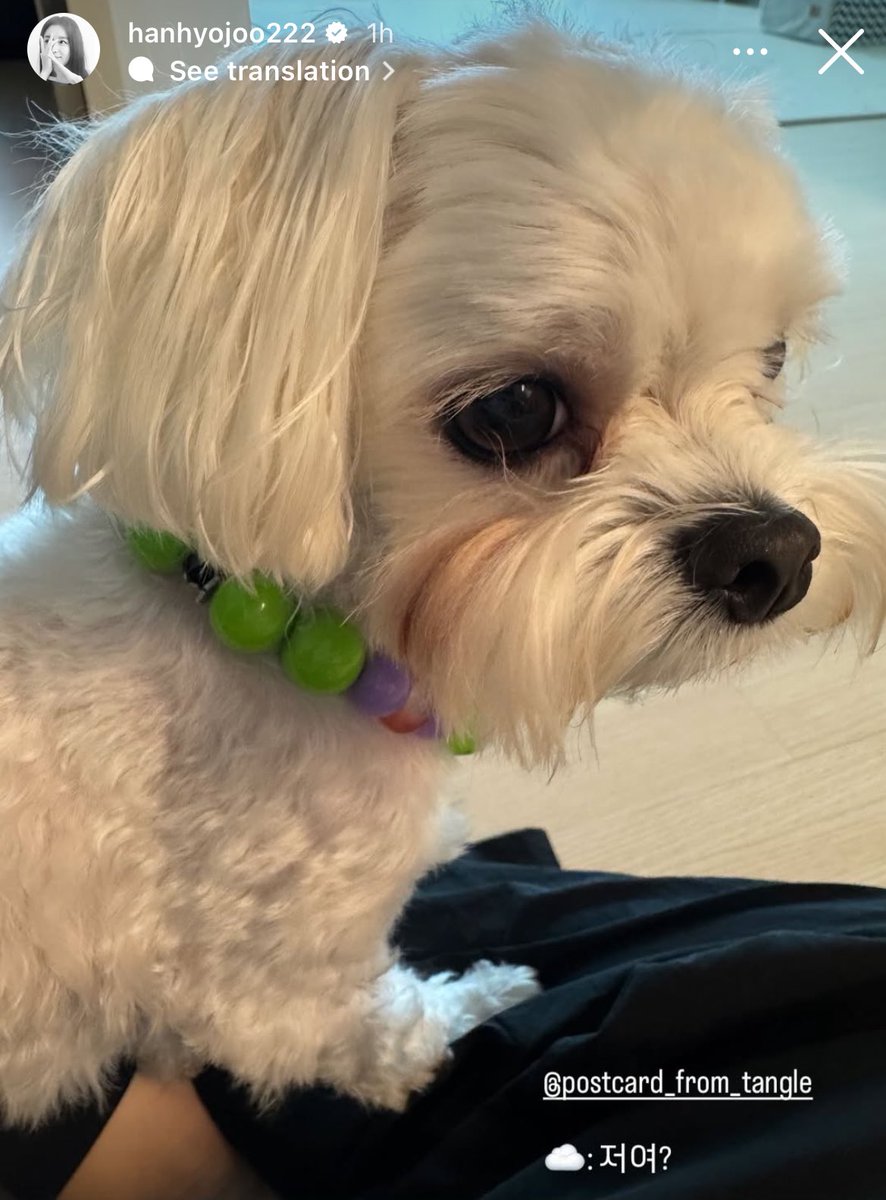 hyojoo &amp; cloud update 😭 missed you both so much!