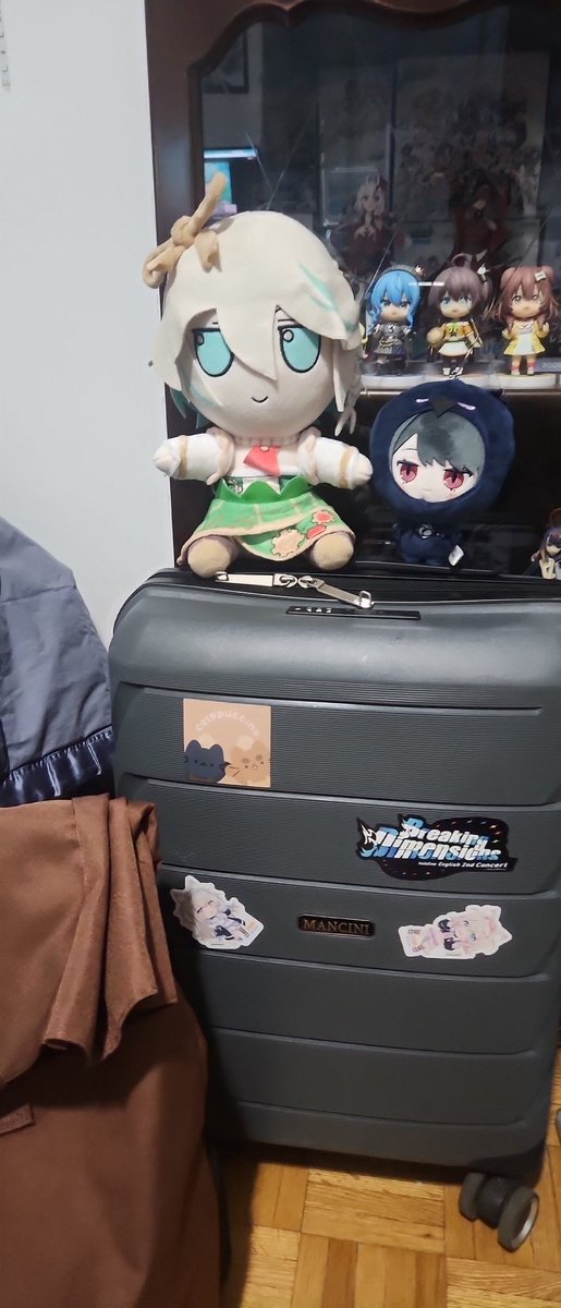 Finished packing a little early thanks to the extra time off. Am all set to take the bus to NYC soon. Will be en route thursday. See y'all there :3