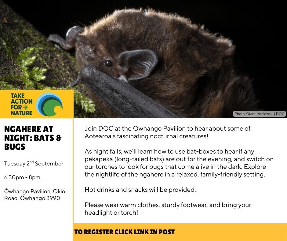 AusBats's tweet photo. 🦇Owhango, New Zealand
Tuesday 2nd September- Ngahere at Night: Bats &amp; Bugs

https://t.co/nIj0hGks4w
#ausbats #nzbats #bats https://t.co/9HKgO8h8ZH