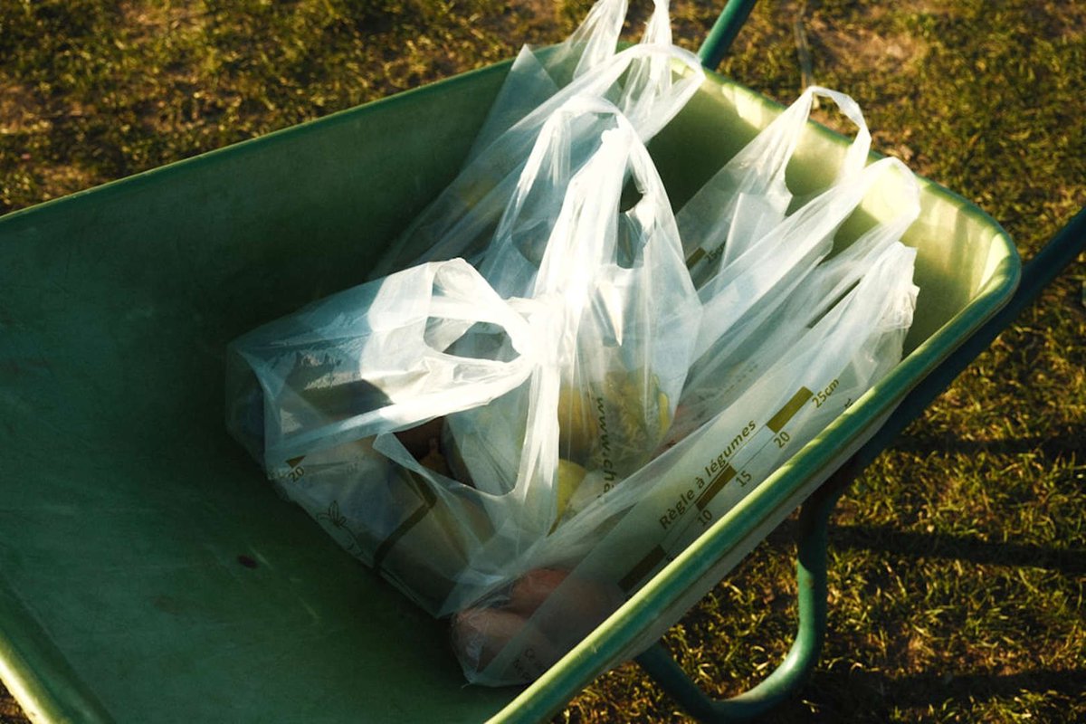 EarthShareNJ's tweet photo. Take no more than 5 minutes out of your day to read Steve’s Sustainability Tips for this month in our newsletter! You’d be surprised to find out recycling things as simple as  plastic forks can be doing more harm than good. 

Read more here! https://t.co/ZUiTo2AlwZ https://t.co/vIDArGi9Jc