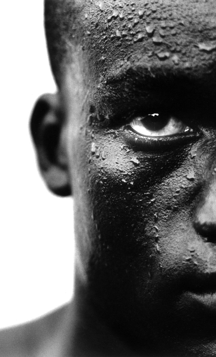 Redcatpro tweet media