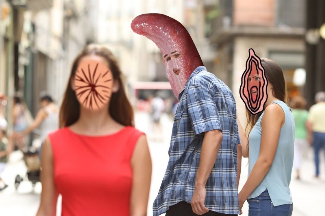 Sheff 👨‍🍳 tweet media