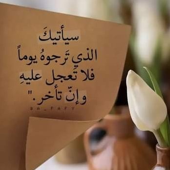 🇸🇦الجوري🇸🇦 tweet media