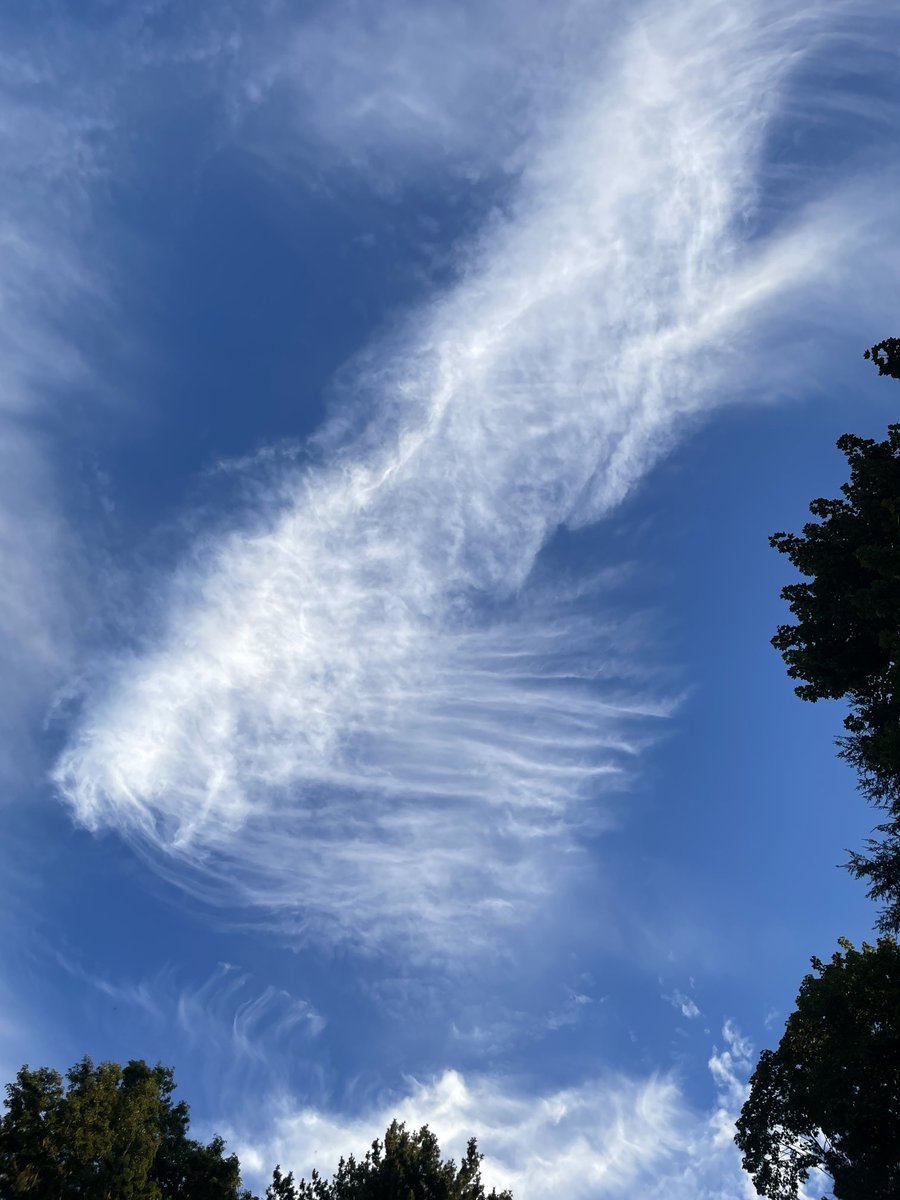 chrisabowler's tweet image. ⁦@ryanhanrahan⁩ hi! What kind of cloud is this? #WeHa. Thanks!