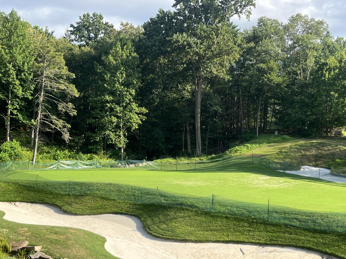 Jeffrey Koch tweet media