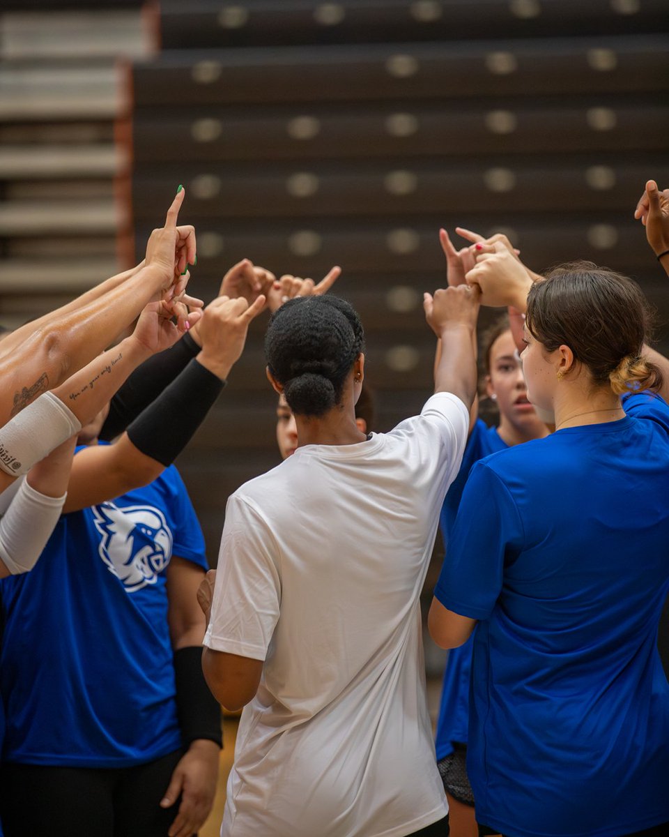 UTPB Athletics tweet media