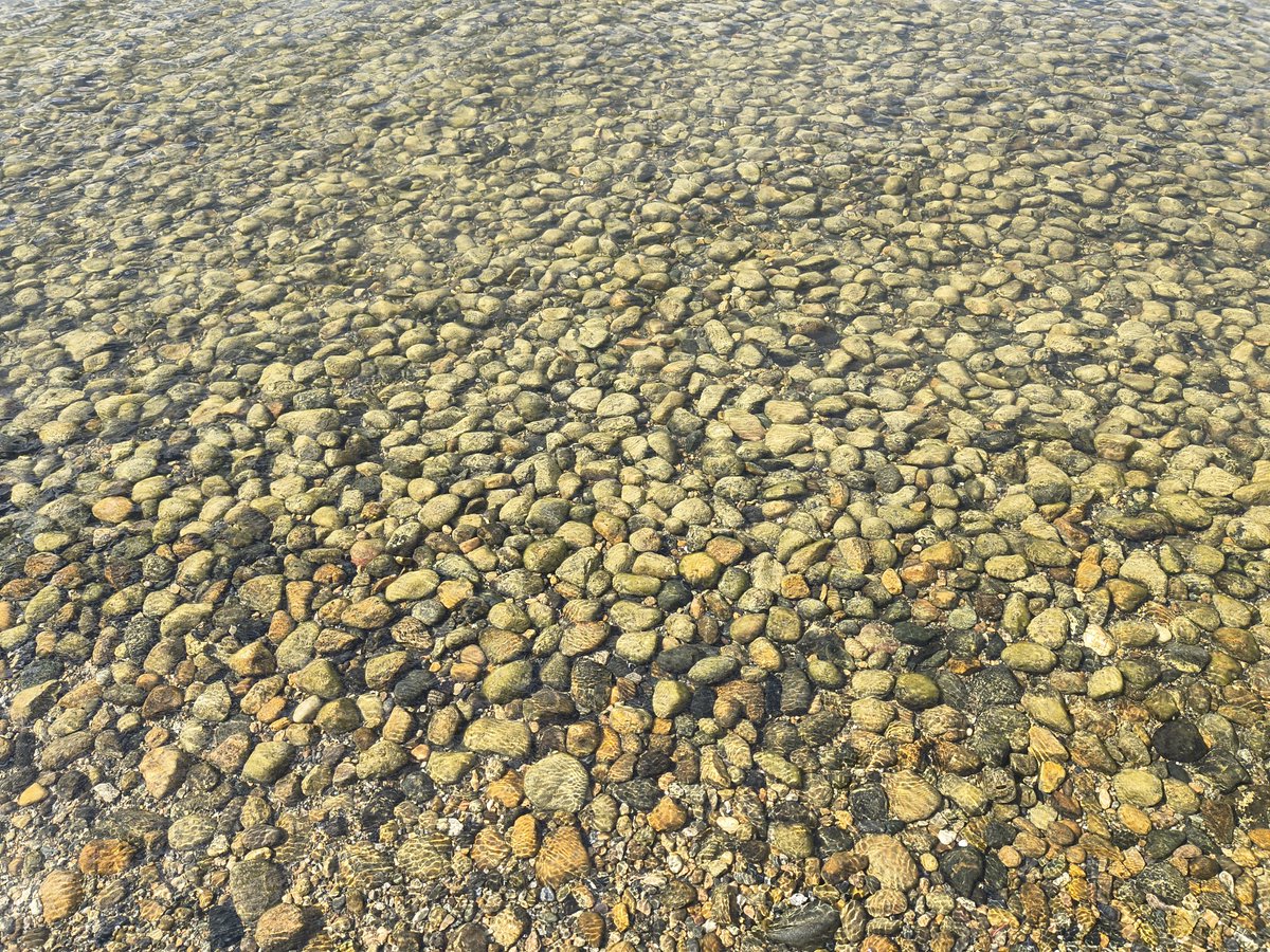 Took the kiddos for a walk and found the lake stones very aesthetic
