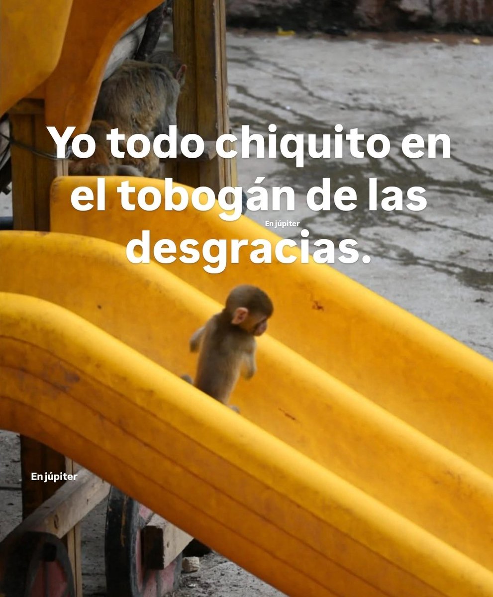 En_jupiter_'s tweet image. 