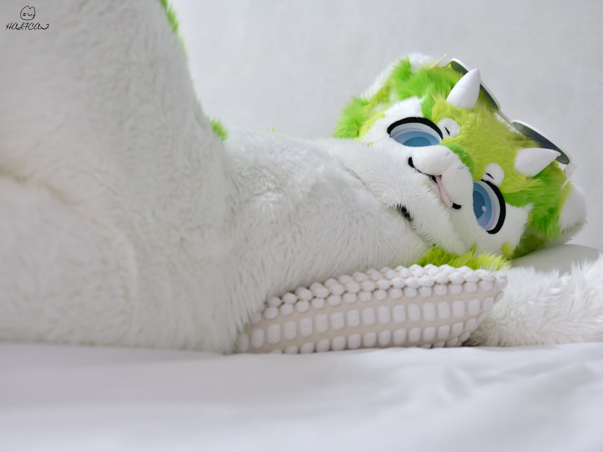 #FursuitEveryday
#Fursuit
#메론뇽_PON

☺️내 옆으로 와..🫣