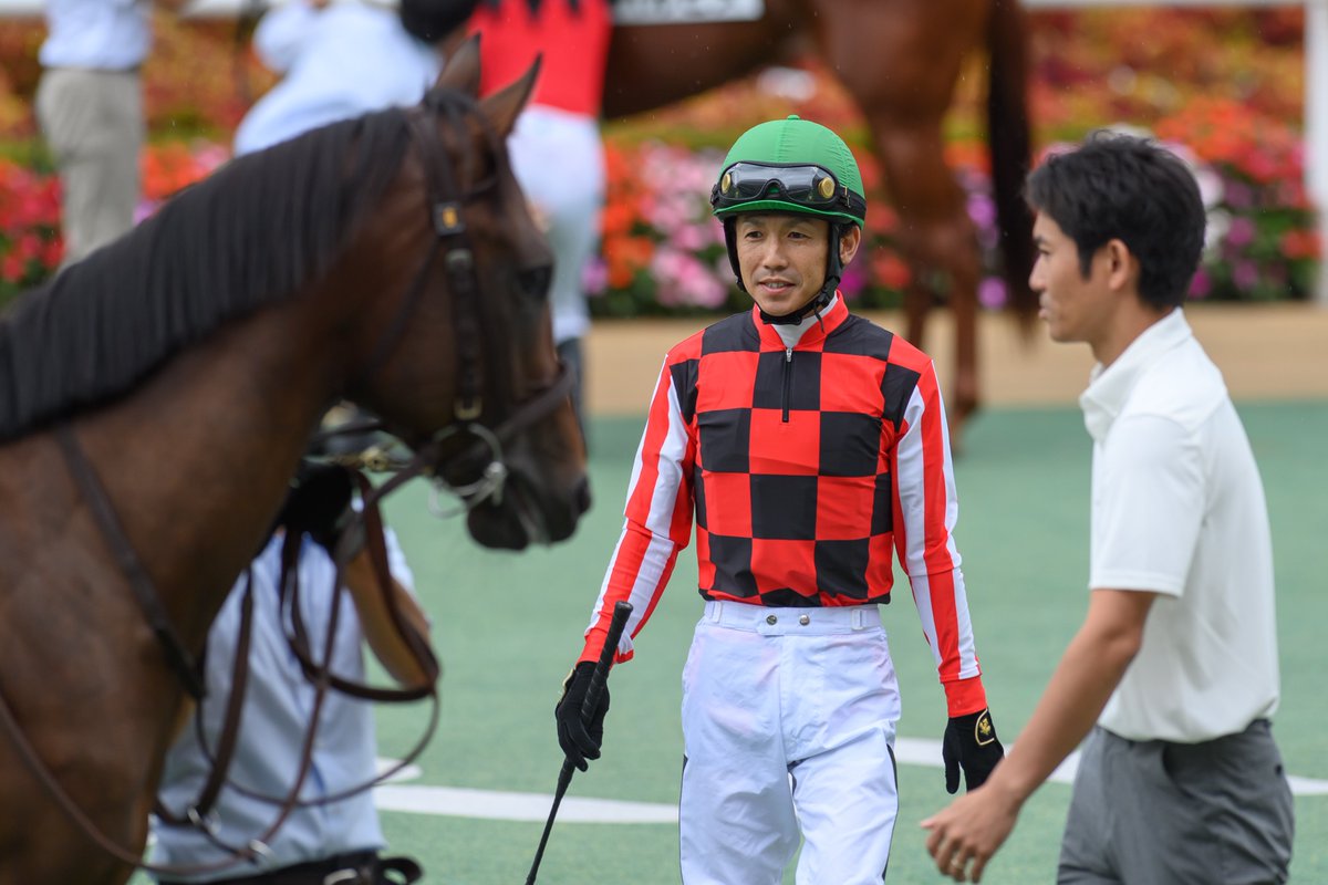 eclipse__first's tweet image. 2025.08.17 札幌1R 2歳未勝利

マスキュラー × 松岡正海騎手🫧
(3人気 3着🥉)

#マスキュラー #松岡正海 
#高橋一哉厩舎 #トゥザワールド産駒 
#コスモヴューファーム