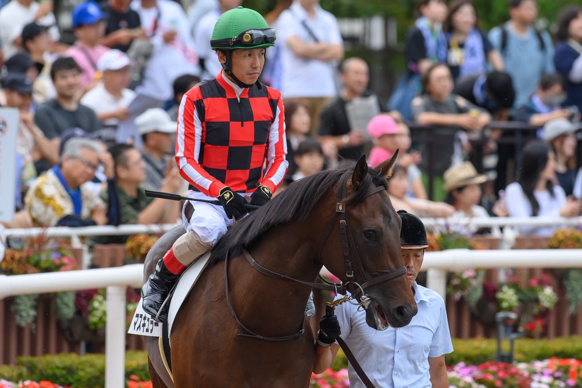 eclipse__first's tweet image. 2025.08.17 札幌1R 2歳未勝利

マスキュラー × 松岡正海騎手🫧
(3人気 3着🥉)

#マスキュラー #松岡正海 
#高橋一哉厩舎 #トゥザワールド産駒 
#コスモヴューファーム