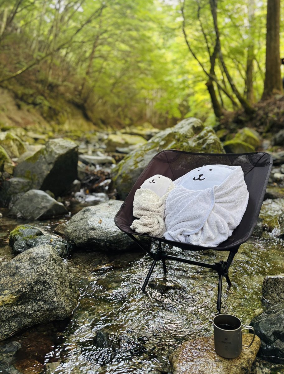 ずりこ (@zuriko_camp) / Posts / X