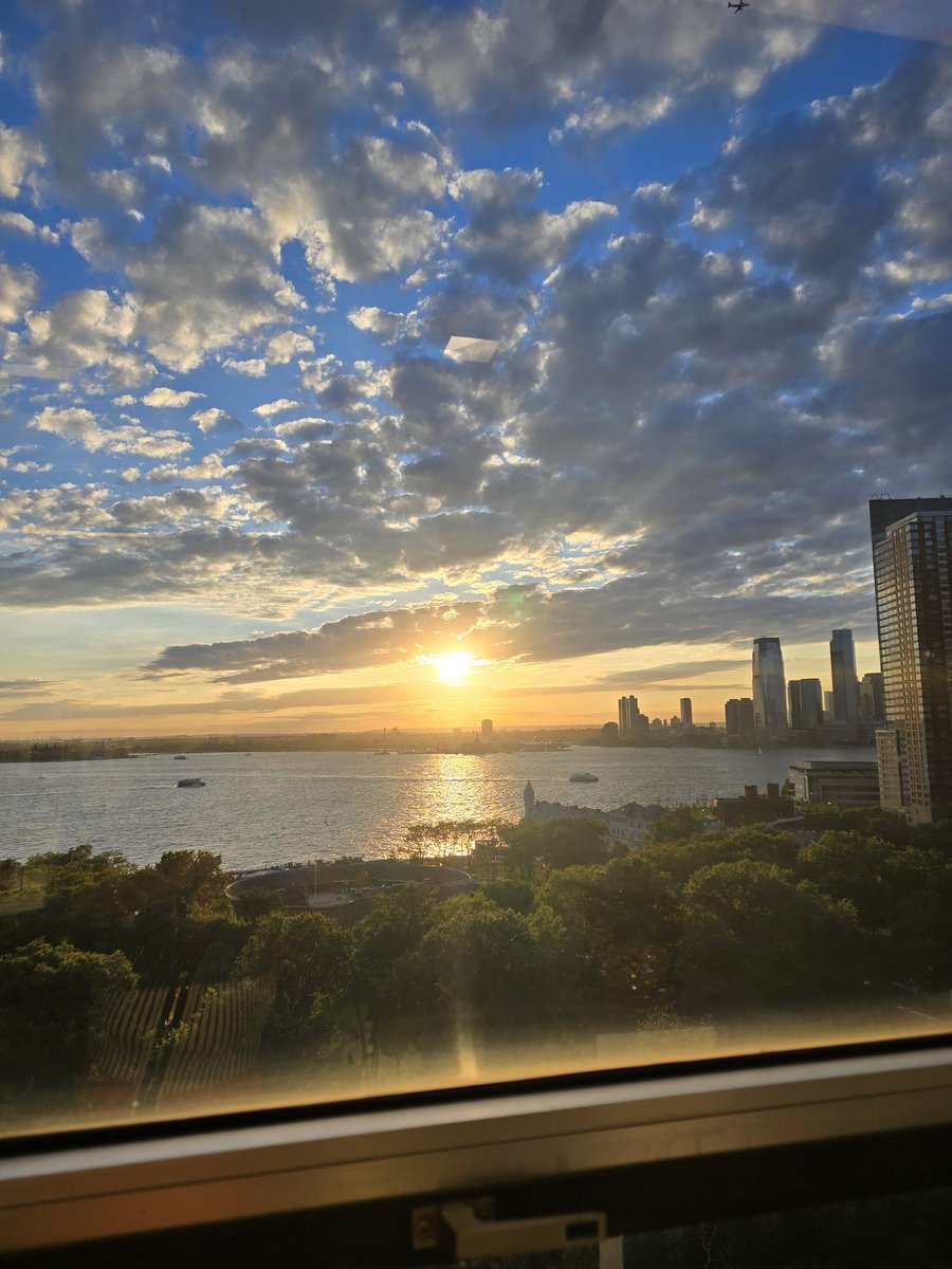 Mercedes Colwin tweet media