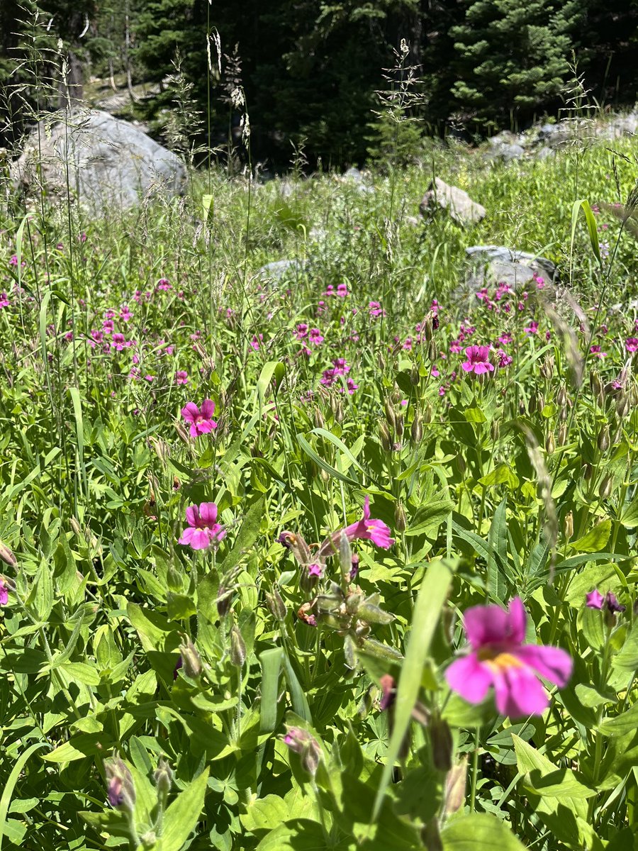 Melanie Dulaney tweet media