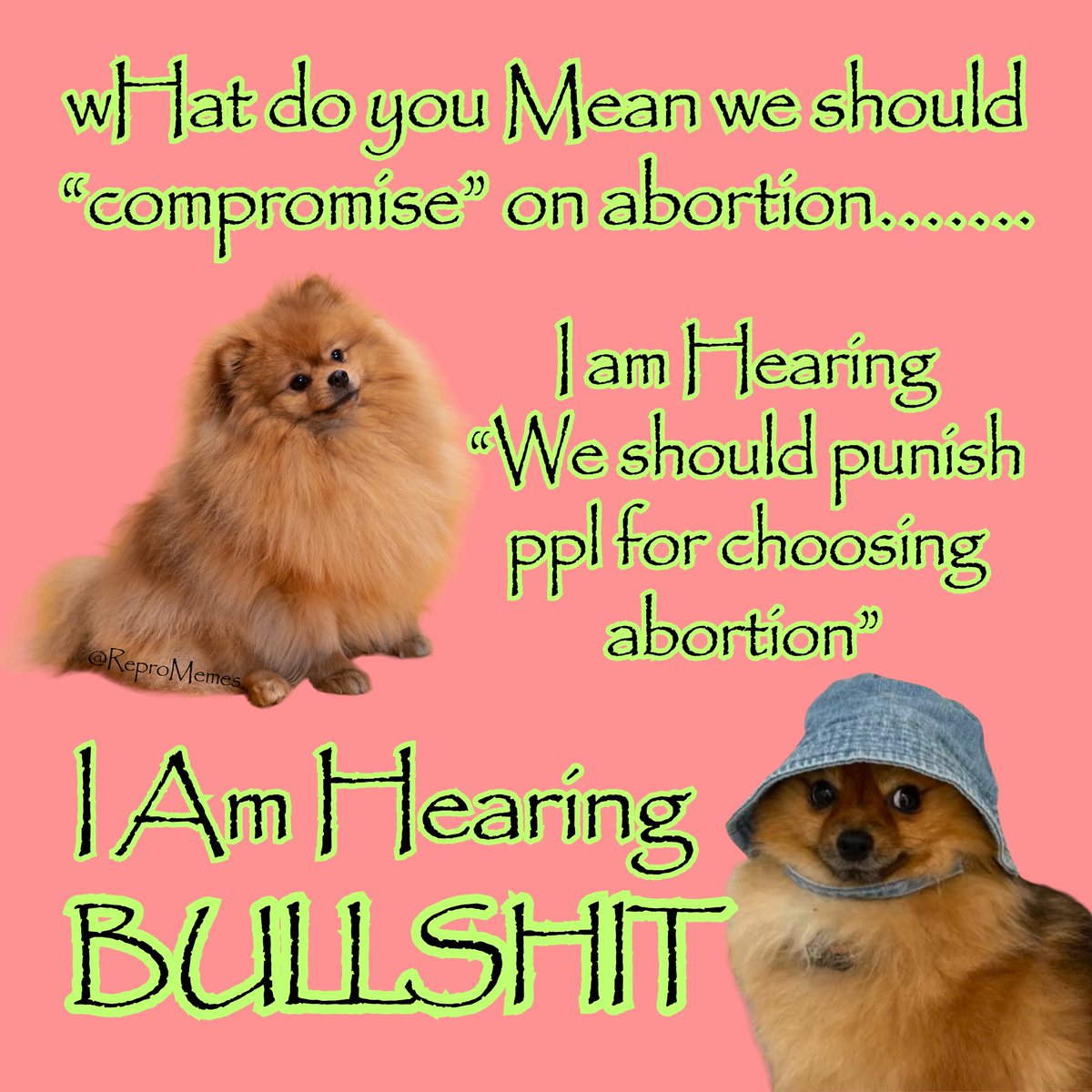 ReproMemes tweet media