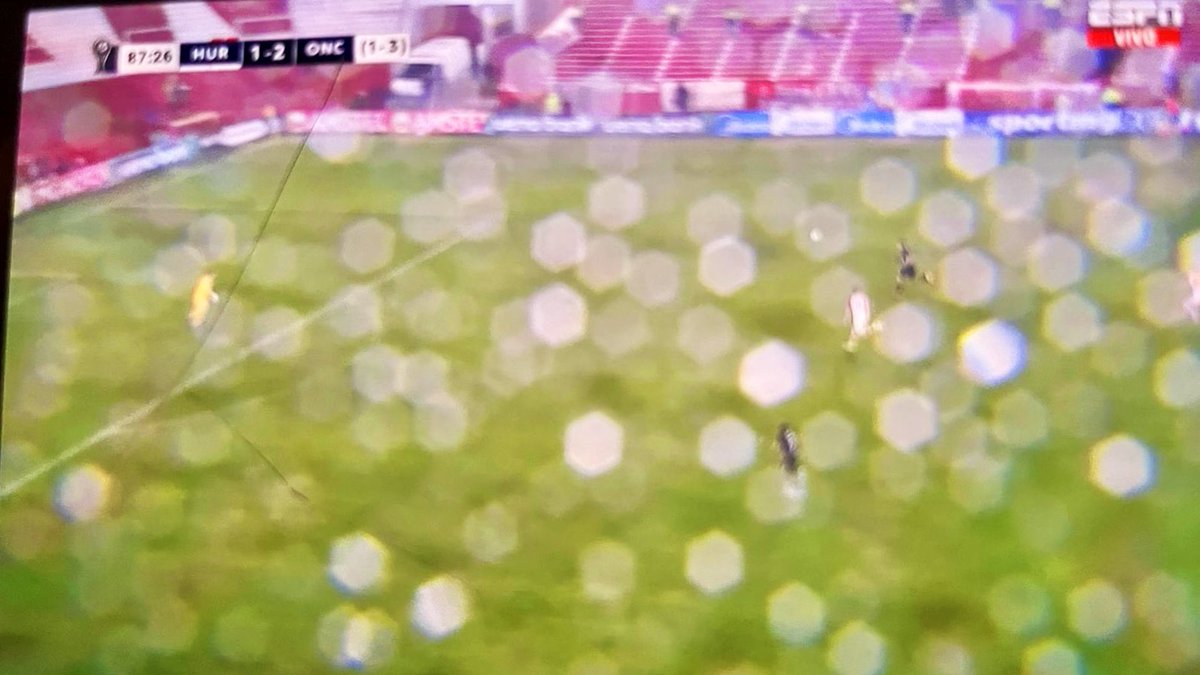 Laura Durán tweet media