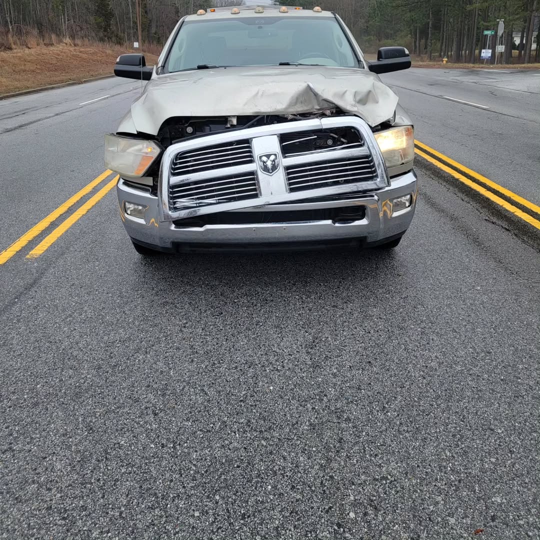 MathewB27823762's tweet photo. I hit a deer on the way to Abbeville on Saturday. Someone put corn in the road. https://t.co/MO2hgzZtmU