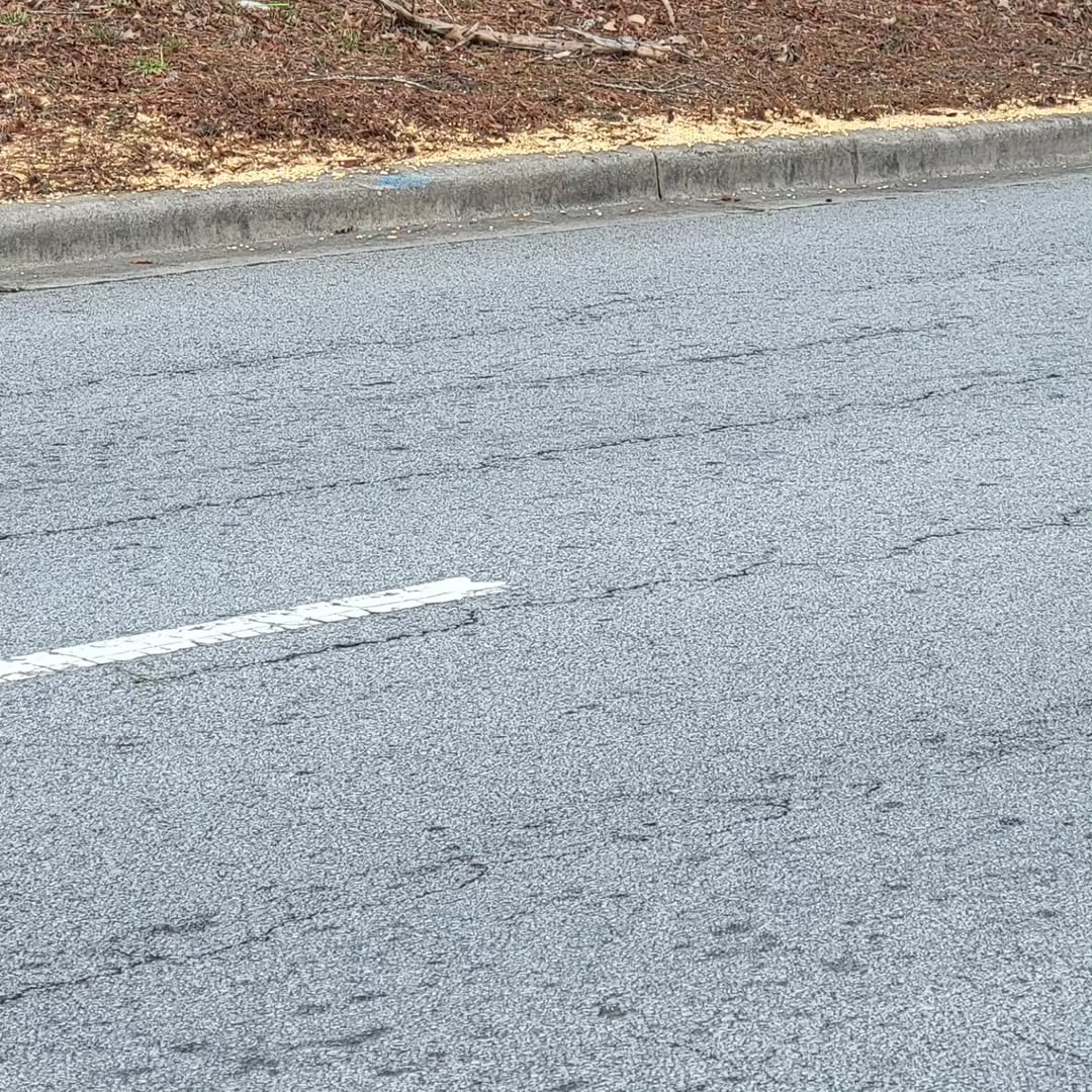 MathewB27823762's tweet photo. I hit a deer on the way to Abbeville on Saturday. Someone put corn in the road. https://t.co/MO2hgzZtmU