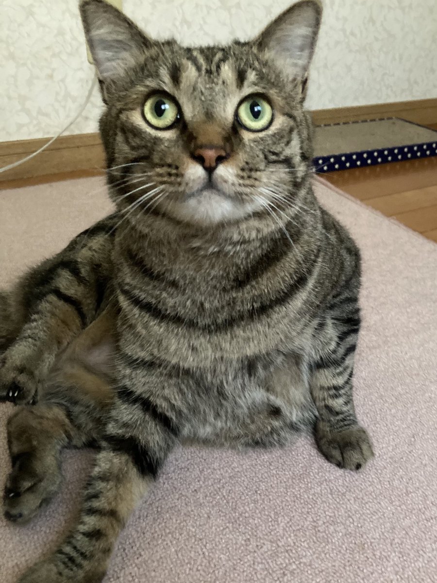 おはようございます😸💕