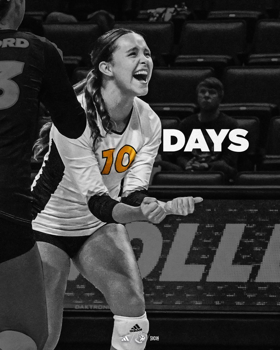Wofford Volleyball (@woffordvb) on Twitter photo Just Maddy Frazier days until we hit the court! 🤩
#ConquerAndPrevail Just Maddy Frazier days until we hit the court! 🤩
#ConquerAndPrevail