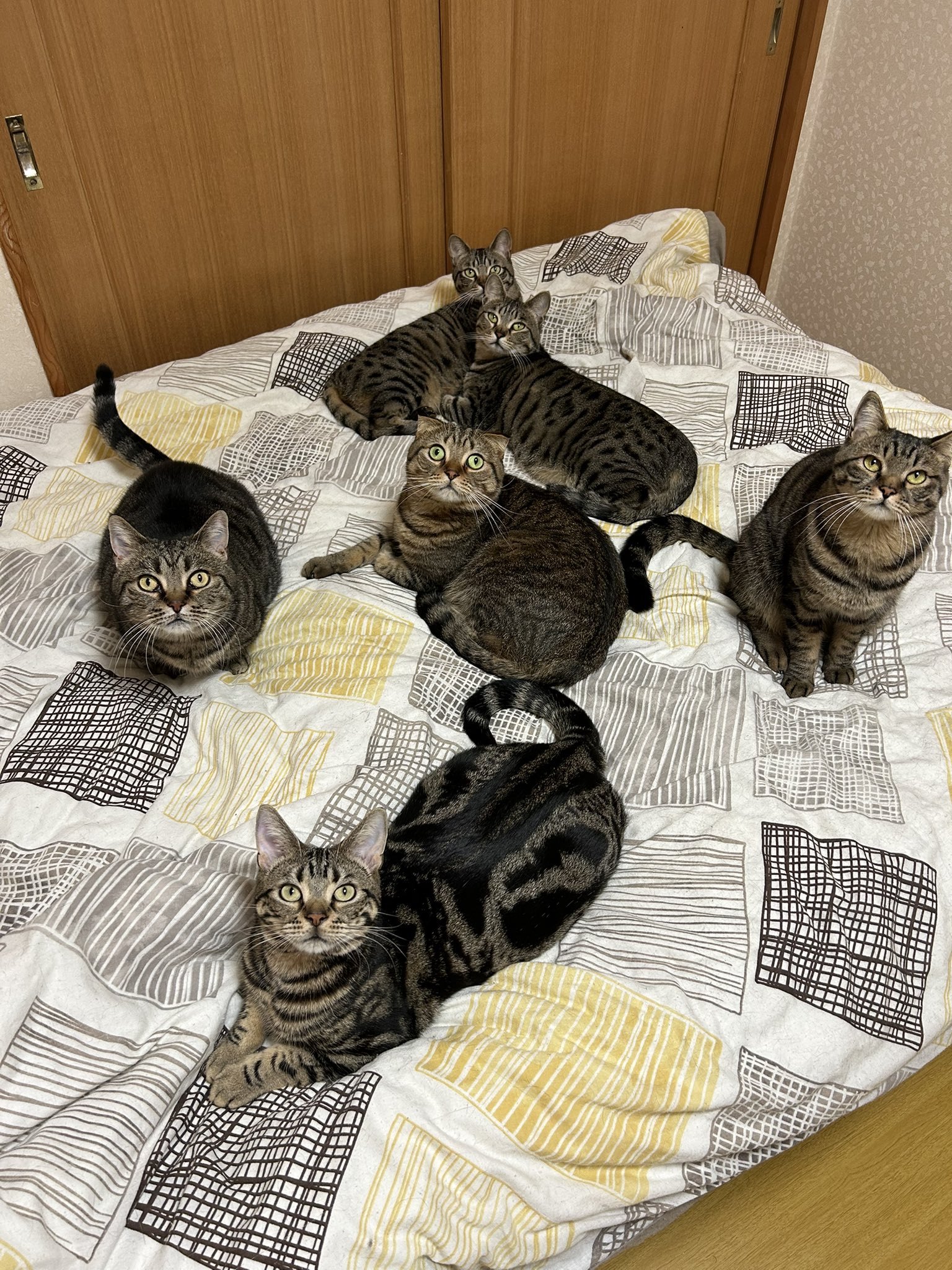 はくとん様❤️おまとめ専用ページです。3/6まで♡ ♡がお様♡専用ページ♡8/16♡メルカリ便♡ - メルカリ