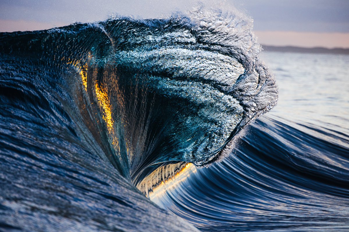 Kim Feast tweet media