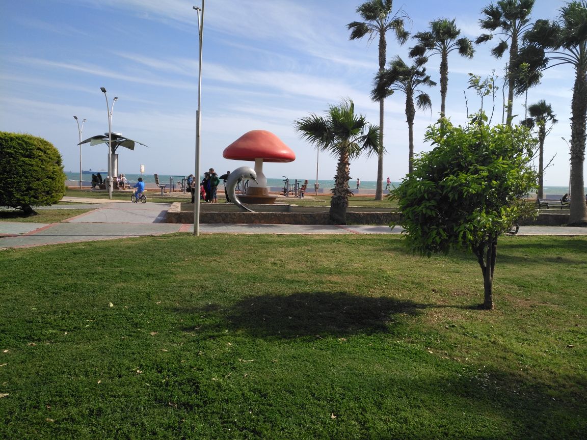 heidi warent (@waren52091) on Twitter photo 