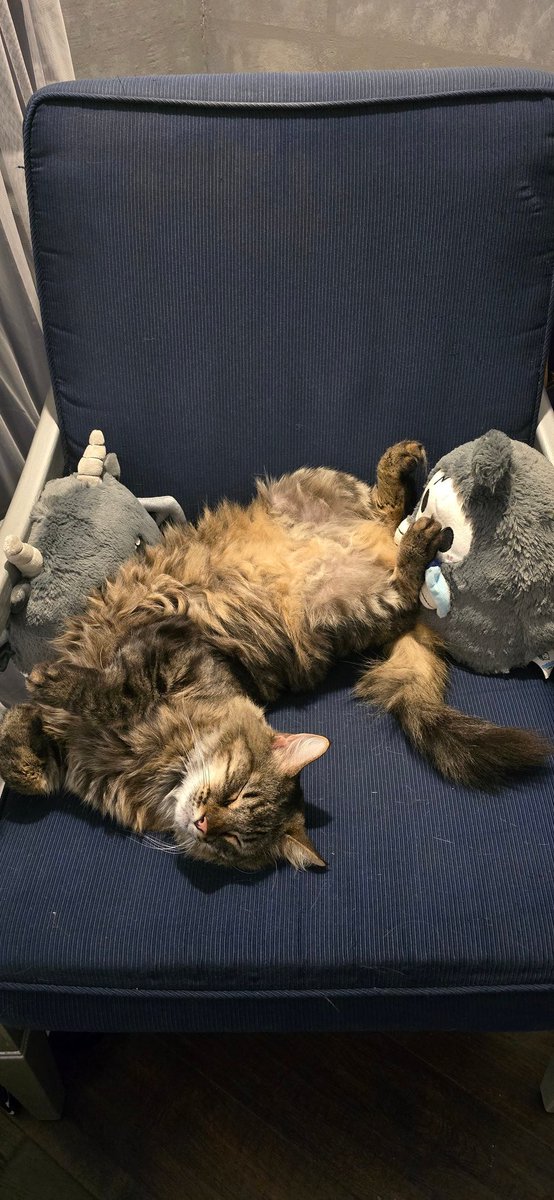 Lisa Barry tweet media